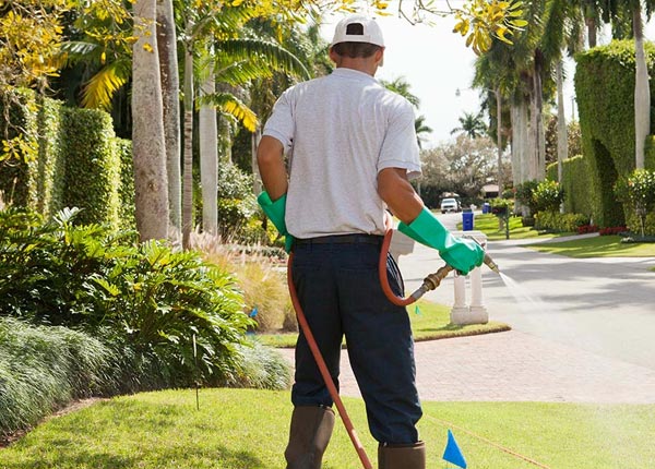 About Greenville FL Pest Control